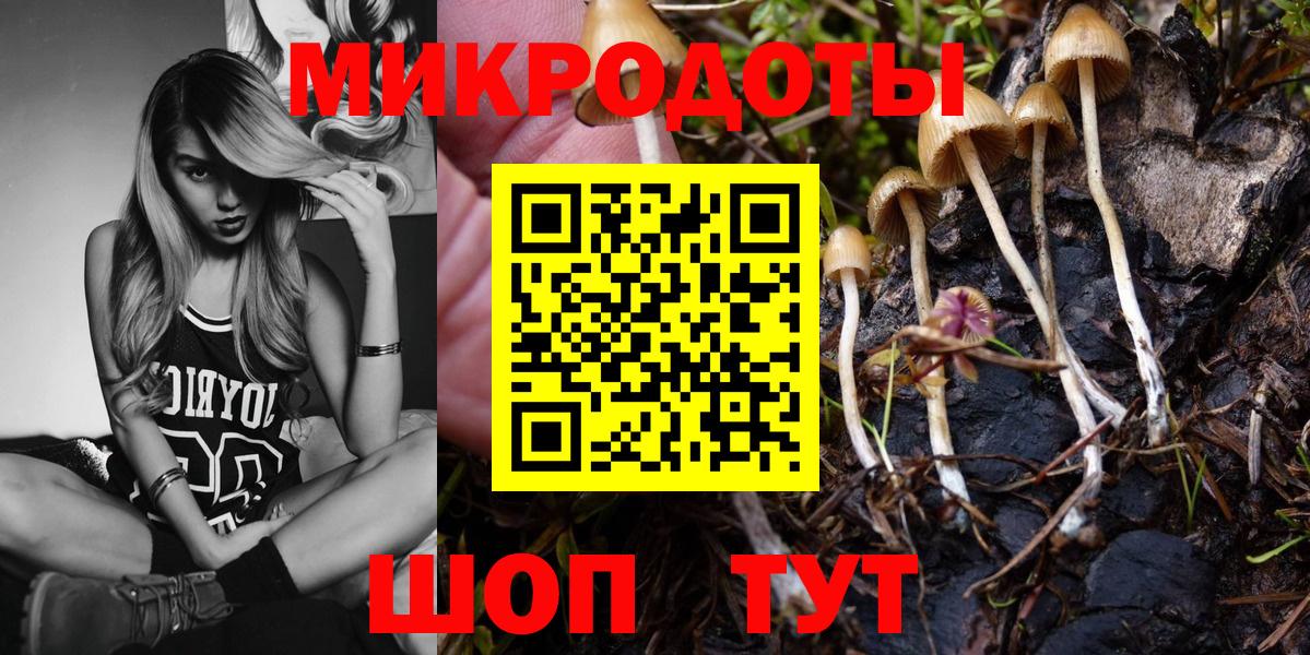 Псилоцибиновые грибы MAGIC MUSHROOMS Королёв